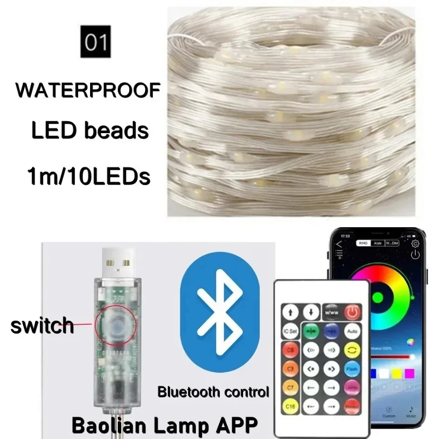 5-20m WS2812B RGB LED Fairy St - Ws2812B ulasan dan harga